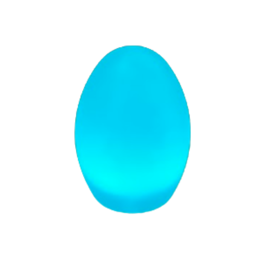 LED Egg Light